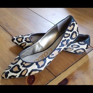 Leopard pointed toe Sam Edelman flats.